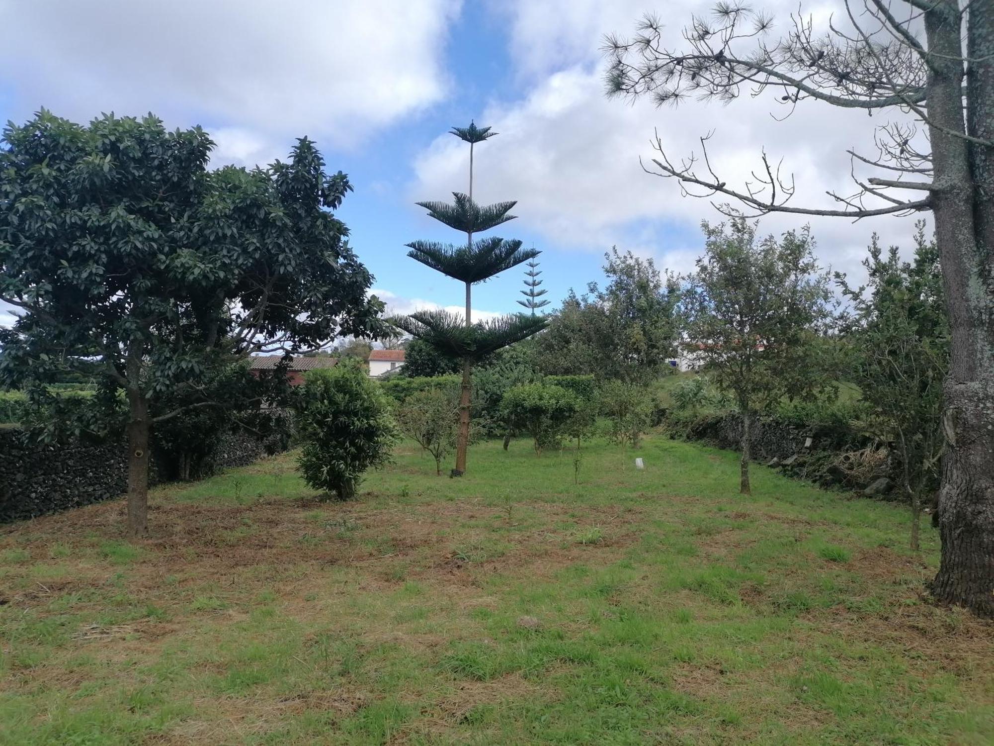 Espaço Roteiro de Mimos Açores Exterior foto
